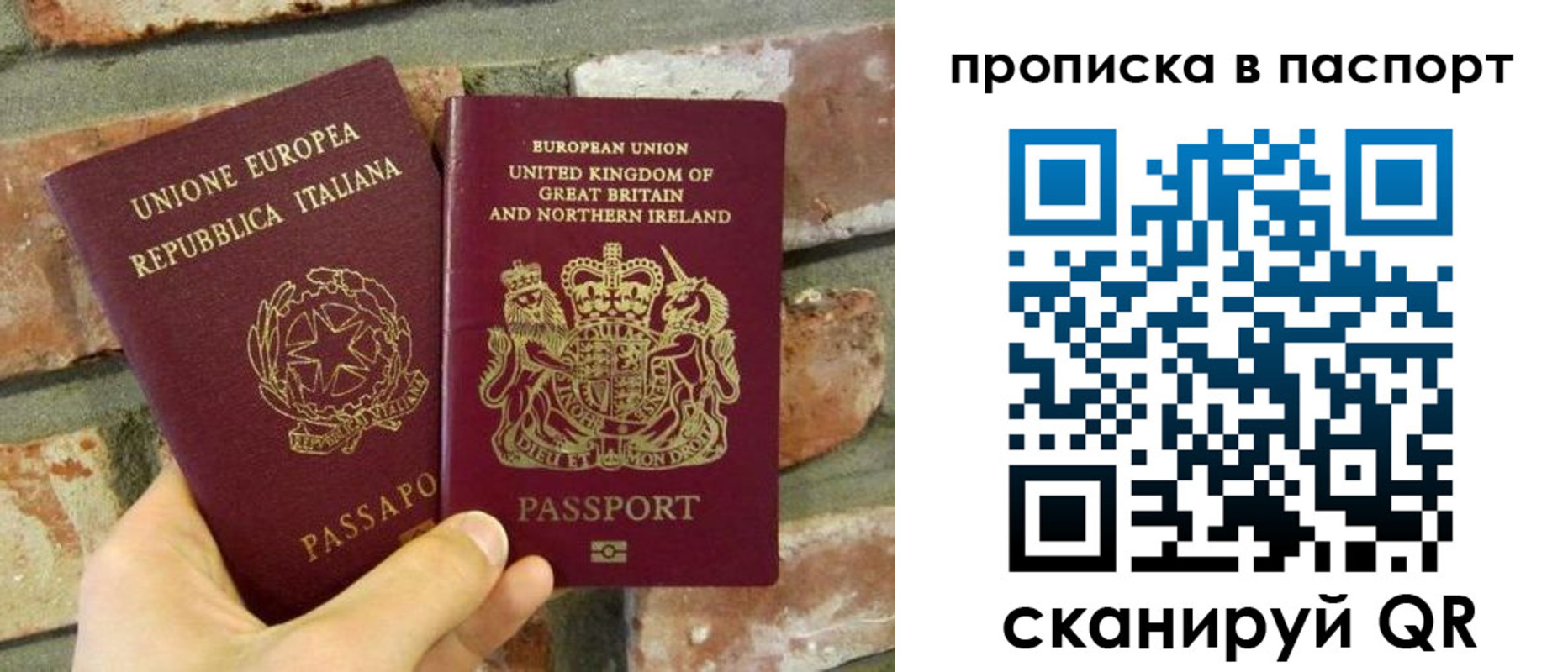 прописка в Коркино